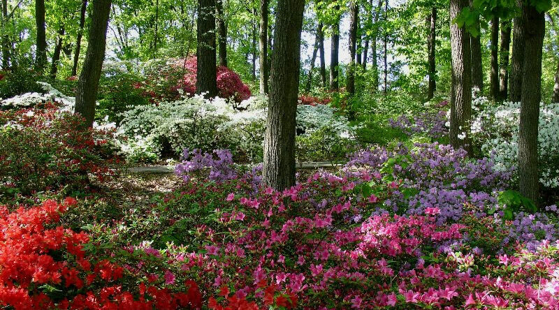 Get Your Garden Visit On!